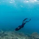 member face