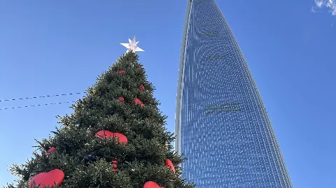 정모 대표 이미지