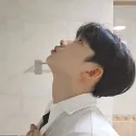 member face