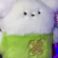 member face