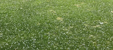 모임 대표 이미지