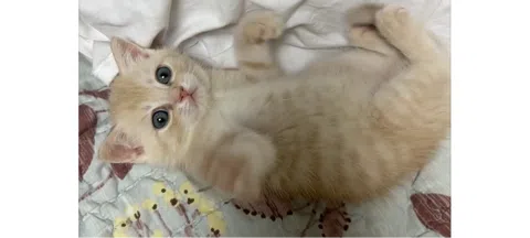 모임 대표 이미지