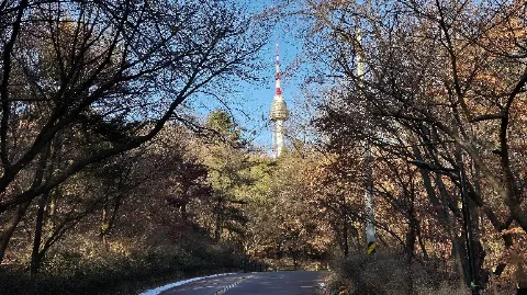 정모 대표 이미지