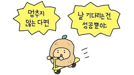 정모 대표 이미지
