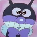 member face