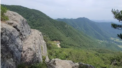 정모 대표 이미지