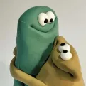 member face