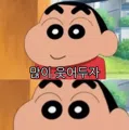 member face