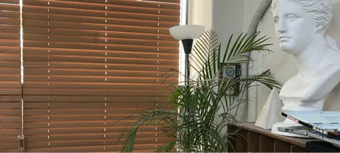 모임 대표 이미지