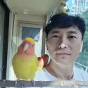 member face