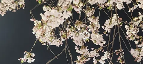 모임 대표 이미지