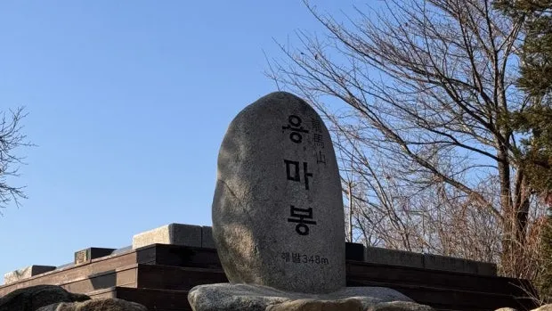 정모 대표 이미지