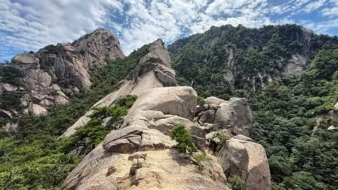 정모 대표 이미지