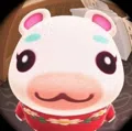 member face