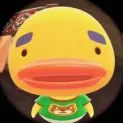 member face