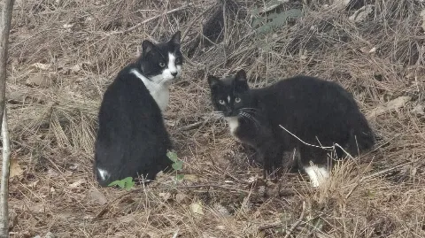 정모 대표 이미지