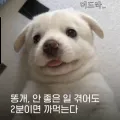 member face
