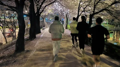 정모 대표 이미지