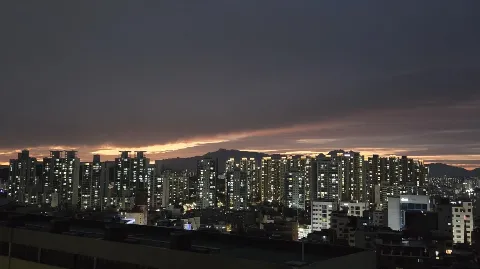 정모 대표 이미지