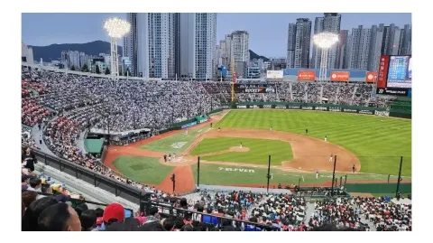 정모 대표 이미지