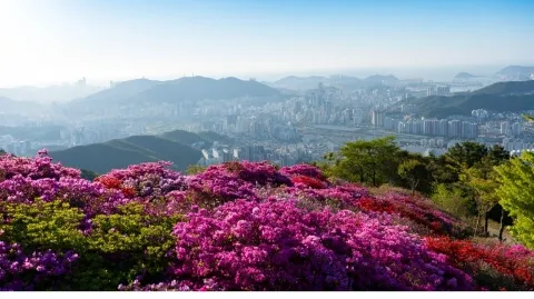 정모 대표 이미지