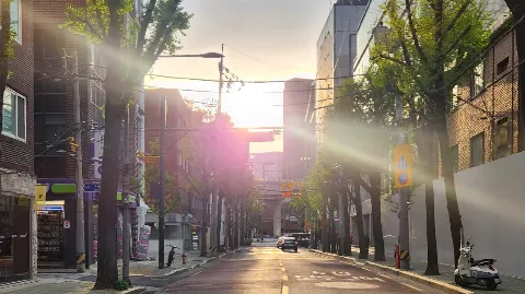 정모 대표 이미지