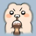 member face