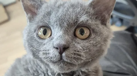 정모 대표 이미지