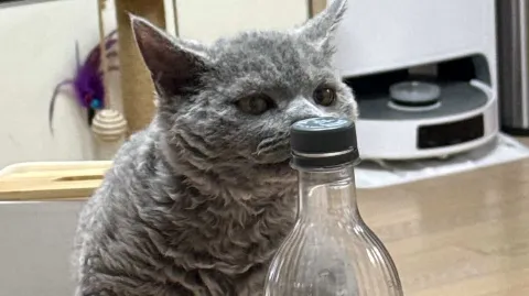 정모 대표 이미지