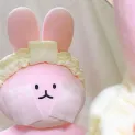 member face
