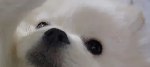 모임 대표 이미지