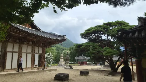 정모 대표 이미지