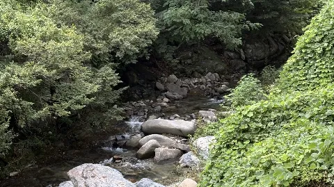 정모 대표 이미지