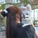 member face