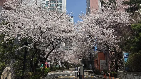 정모 대표 이미지