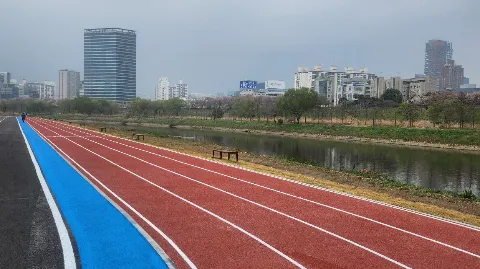 정모 대표 이미지