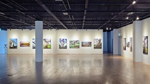 정모 대표 이미지