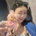 member face