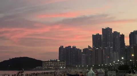 정모 대표 이미지