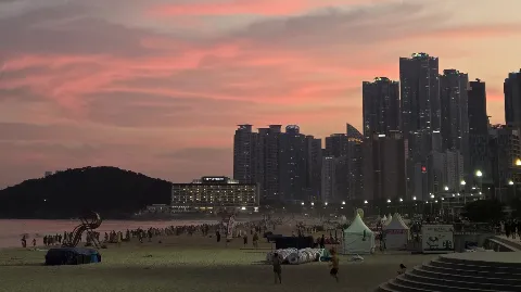 정모 대표 이미지
