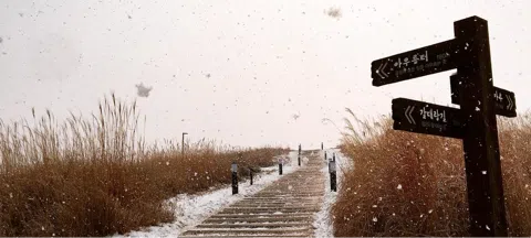 모임 대표 이미지