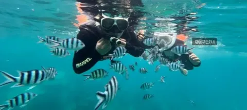 모임 대표 이미지