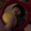 member face