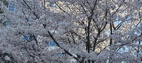 모임 대표 이미지