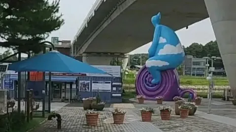 정모 대표 이미지