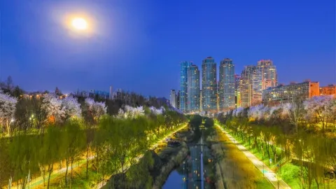 정모 대표 이미지