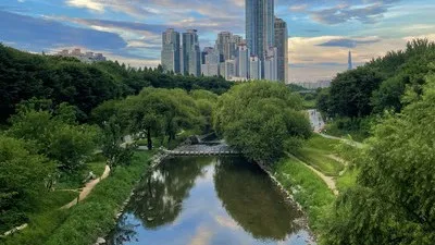 정모 대표 이미지