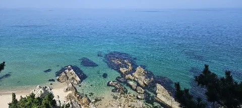 모임 대표 이미지