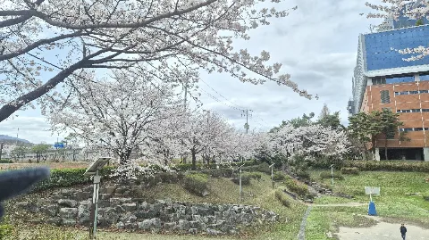 정모 대표 이미지