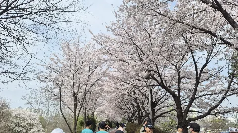 정모 대표 이미지